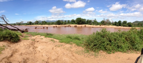Elephants River - Samburu