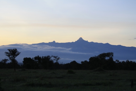 OPC Mt Kenya